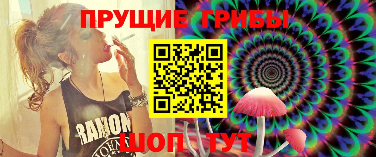 Галлюциногенные грибы GOLDEN TEACHER  Псилоцибиновые грибы Psilocybe  Балашиха  Вход с VPN 